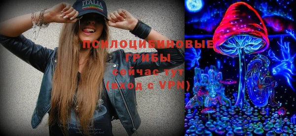 mdpv Белокуриха