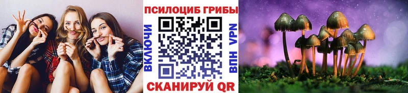 Галлюциногенные грибы GOLDEN TEACHER  где можно купить наркотик  ссылка на мегу tor  Выкса 